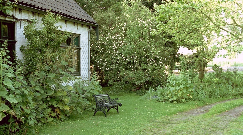 house and orchard
