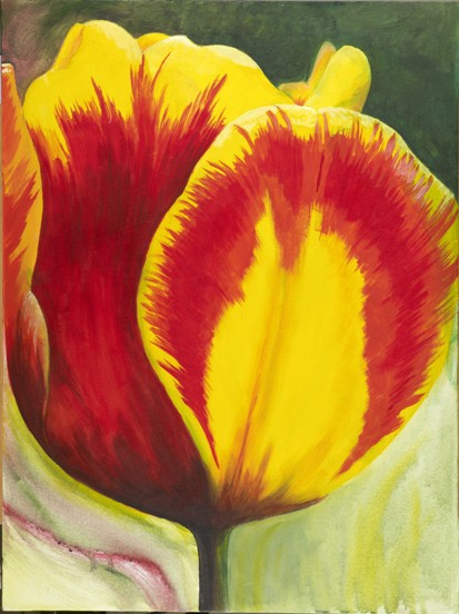 tulip