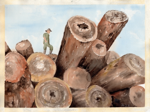 Marco on timber pile