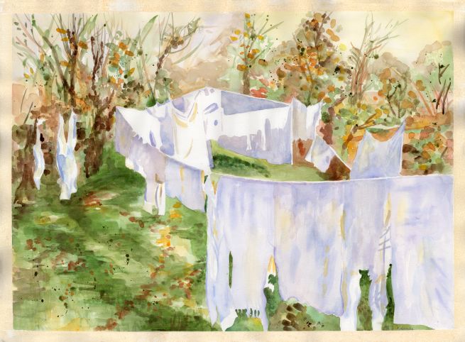 washing lines